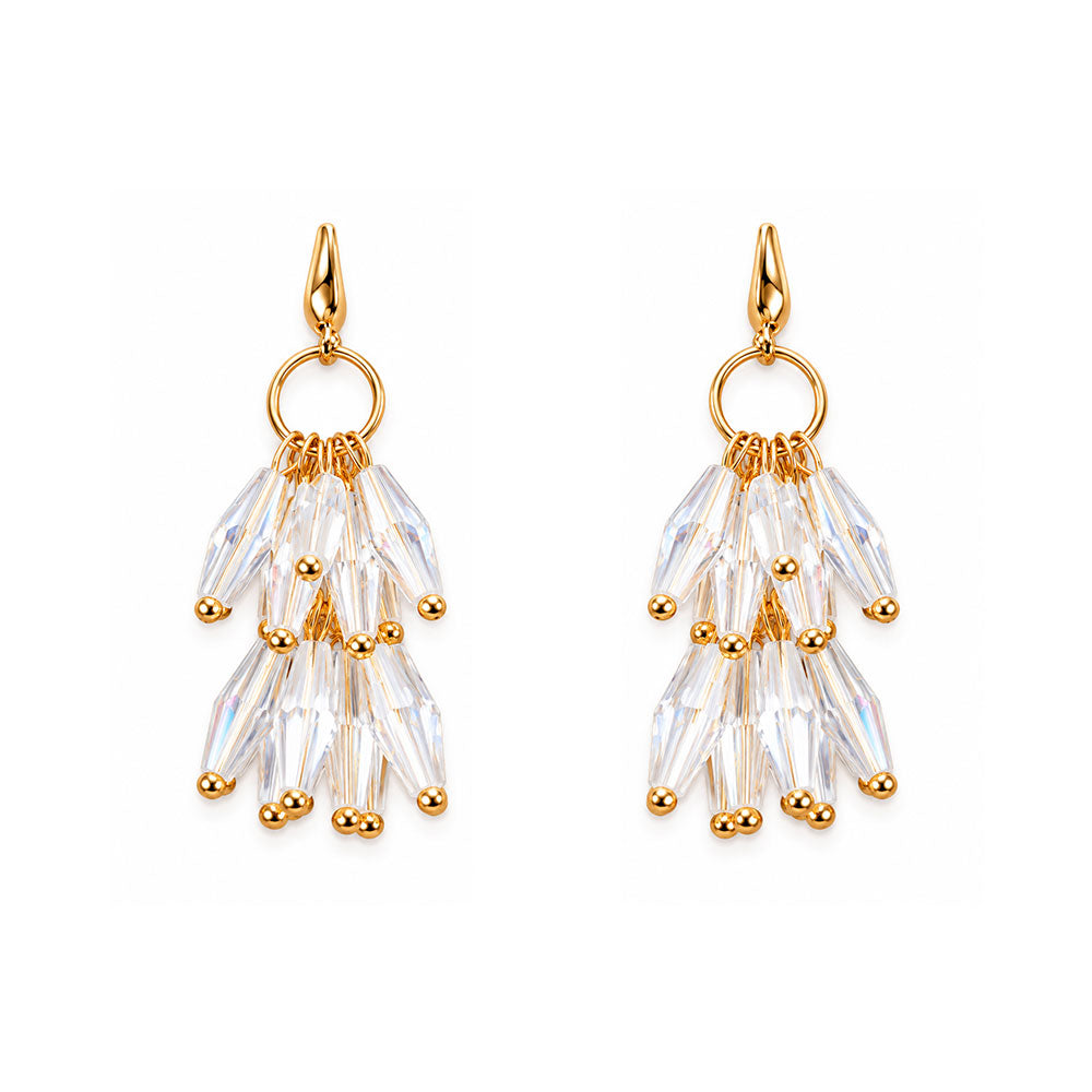 Chrome Line- Stone studded dangler earrings
